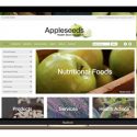 Large website